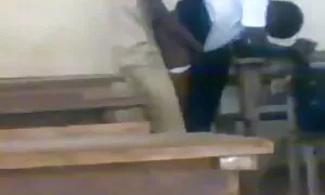 basha ba aforika mo  ...